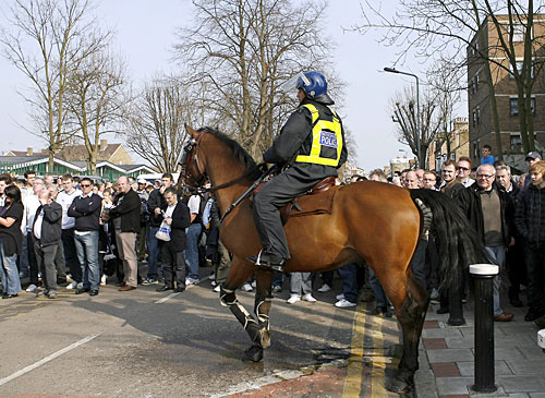 ���� ���� ����