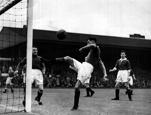 ���� ��������