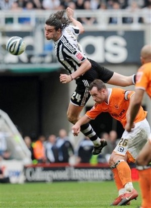 ���� �������