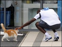 ����� ���������