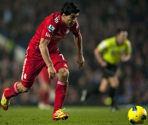 ���� ������