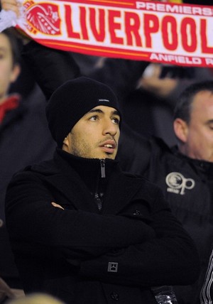 ���� ������