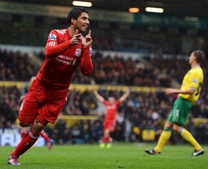 ���� ������