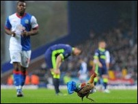 ������ �� ���� ����