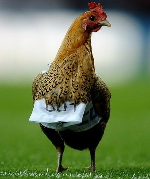 ������ �� ���� ����