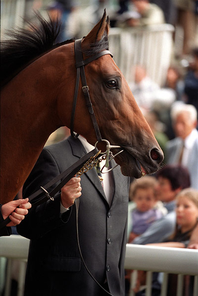 FAPL.ru - ���������� ������