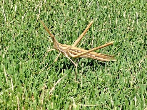 ������ ��� �������� ����� ����� �� ������ ��� �������