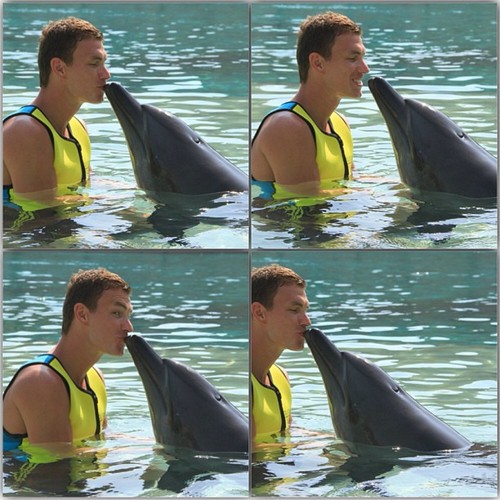 ���� �����