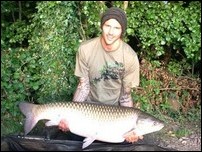 ������ ������