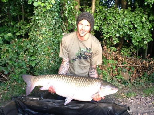 ������ ������