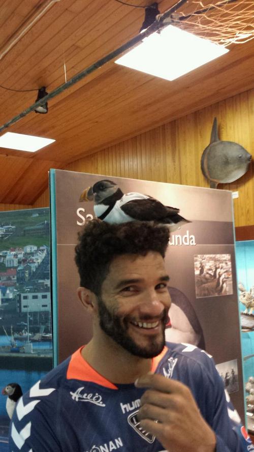 Дэвид Джеймс Дэвид Джеймс