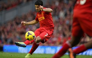 ���� ������