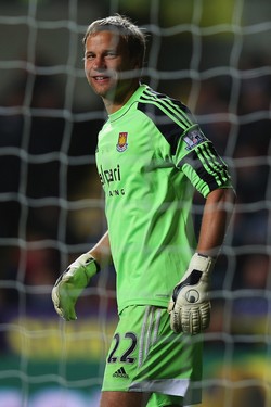 ���� �����������