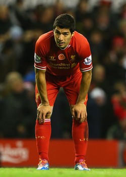 ���� ������