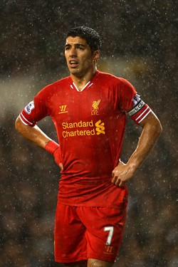 ���� ������