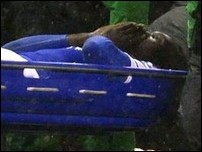 ������ ������