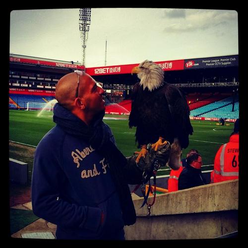 ���� ��������