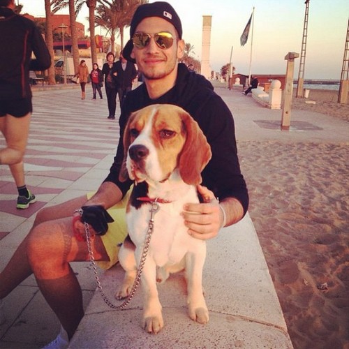 ����� ��������� � ����