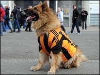 ������ ���������� �����