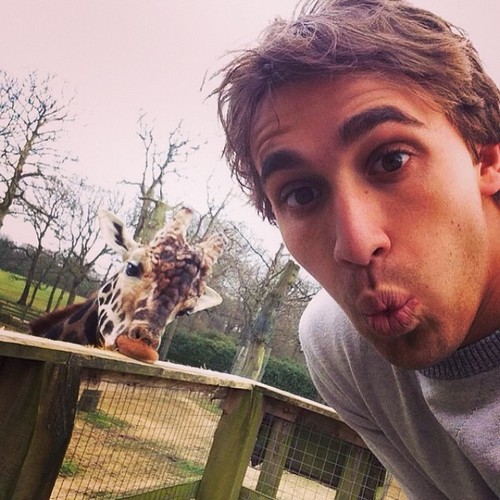 ���� �������