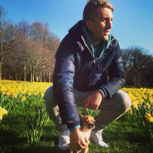 ����� �������� � �������