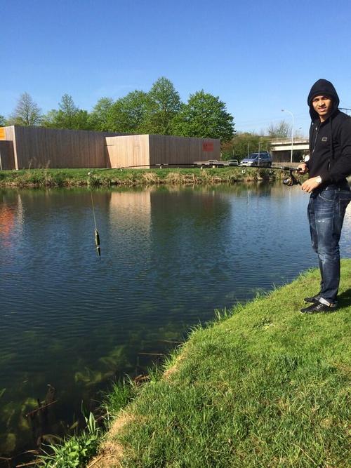 ����� ���������