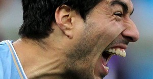 ���� ������