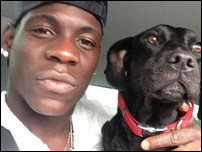 ����� ���������