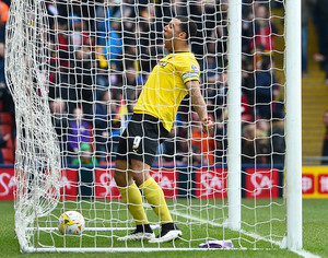 ���� ����