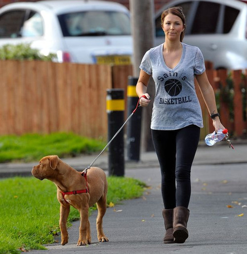 ������ �����