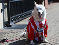 ������ � �������� �����������