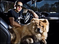 ������ �����