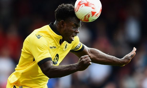 ���� �������