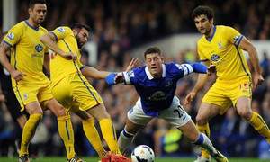 ���� ������ ������ ������� �����