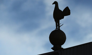 ���� ���� ����