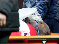 ������ ������