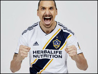 ������ �����������