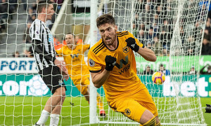 ���� ������