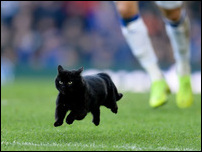 ����� �� ����� �������� � ��������������