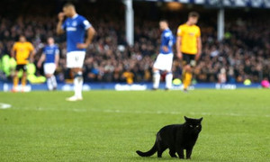 ����� �� ����� �������� � ��������������