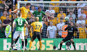 ������ �������� ����������