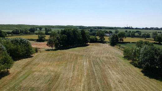 ����� ������������� ���� �������