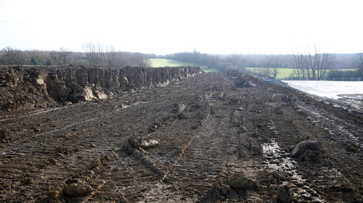 ����� ������������� ���� �������