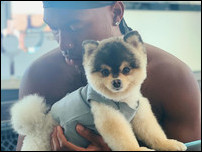 ������� ��������