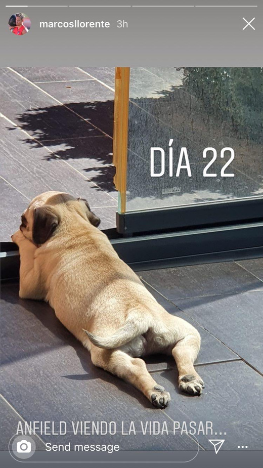 ������ ������