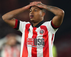 ���� �������