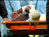 ���� �����