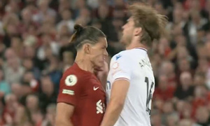 ������ ������