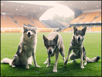 ����� �� �������