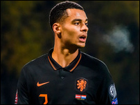 ���� �����